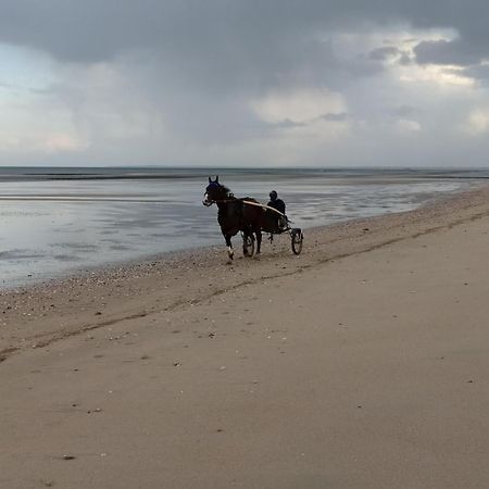 Maisonnette Le Cottage A 50M De La Plage D'Asnelles , 3Km D'Arromanches, 10Km De Bayeux المظهر الخارجي الصورة